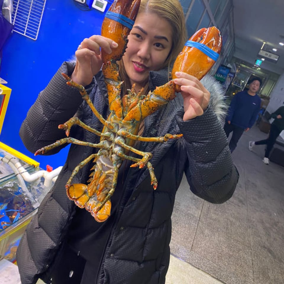 A woman in a black coat holds up a large, live orange lobster with blue bands on its claws.