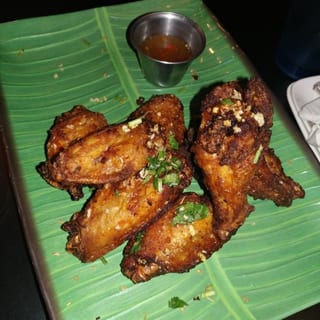 Muay Thai Wings (6)