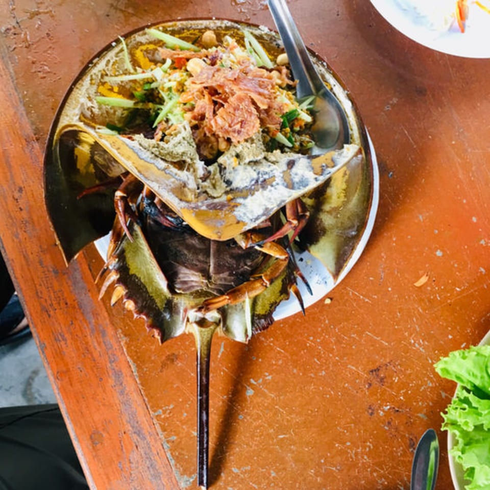 Thai horseshoe crab salad, topped with herbs and crispy shallots, served on a rustic wooden table.